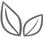 資質(zhì)齊全